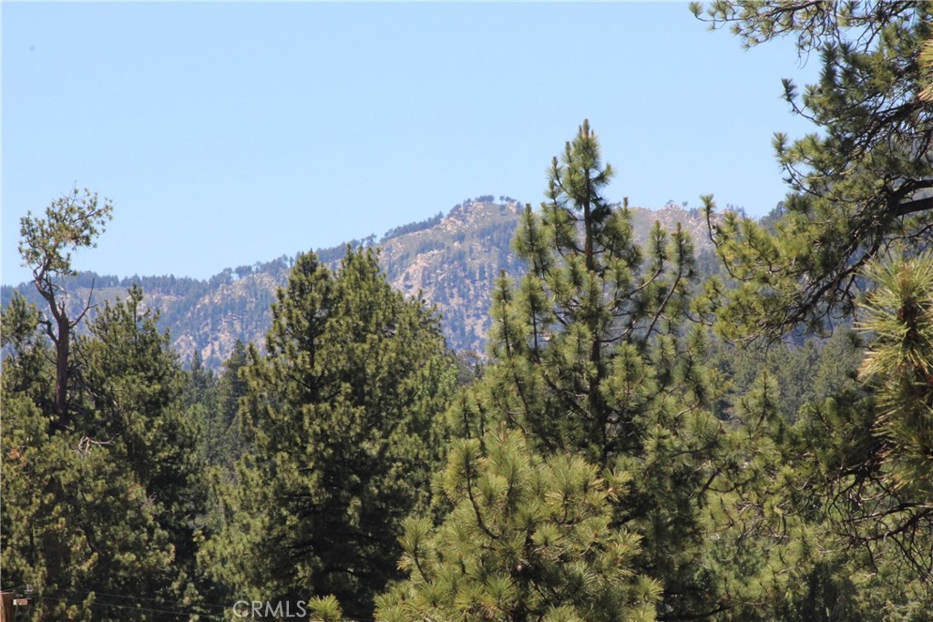 39933 Deer Property Photo 31