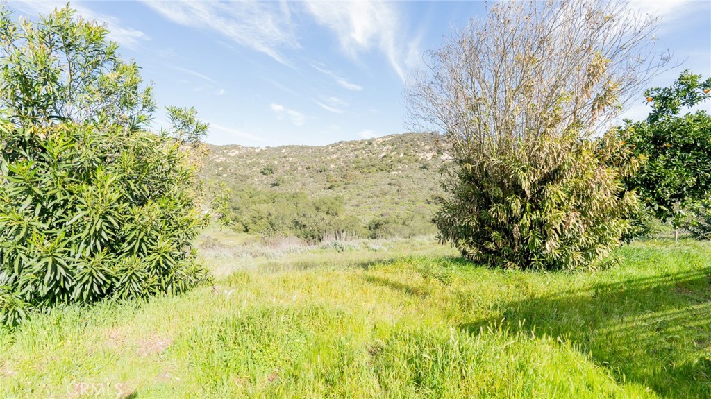 47830 Rainbow Glen Road Property Photo 61