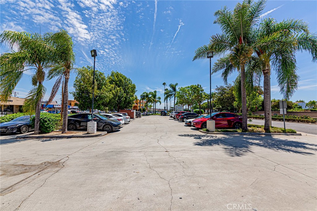 8682 Beach Property Photo 4