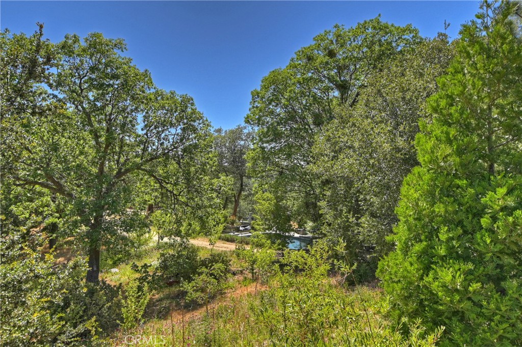 1570 Lupin Road Property Photo 46