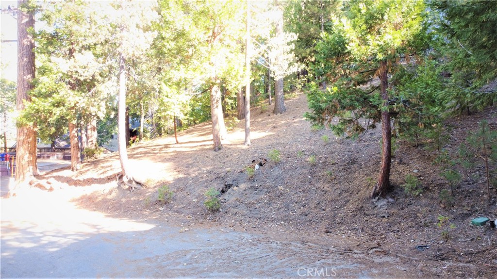 330 Castle Gate Road Property Photo 9