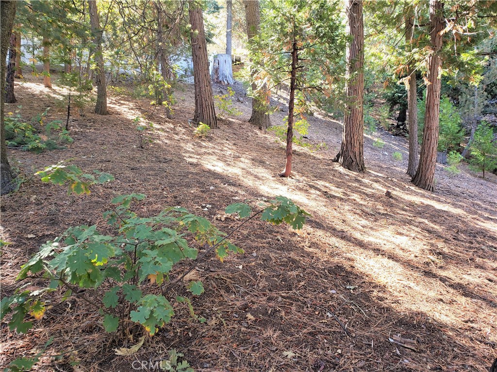 330 Castle Gate Road Property Photo 11