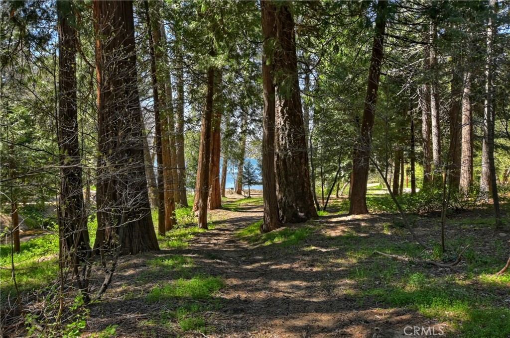 132 S John Muir Road Property Photo 46
