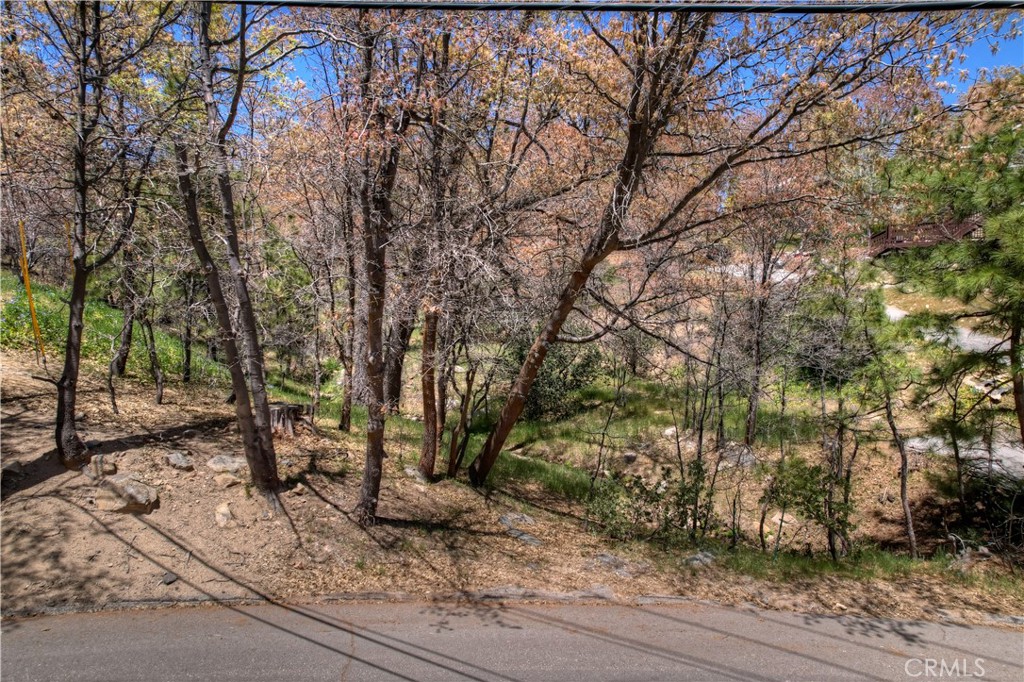 27998 W Shore Road Property Photo 9