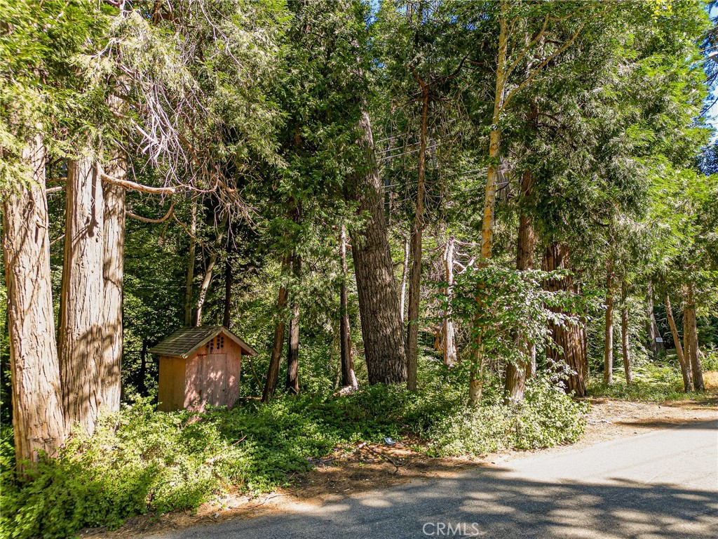 0 Cottage Grove Road Property Photo