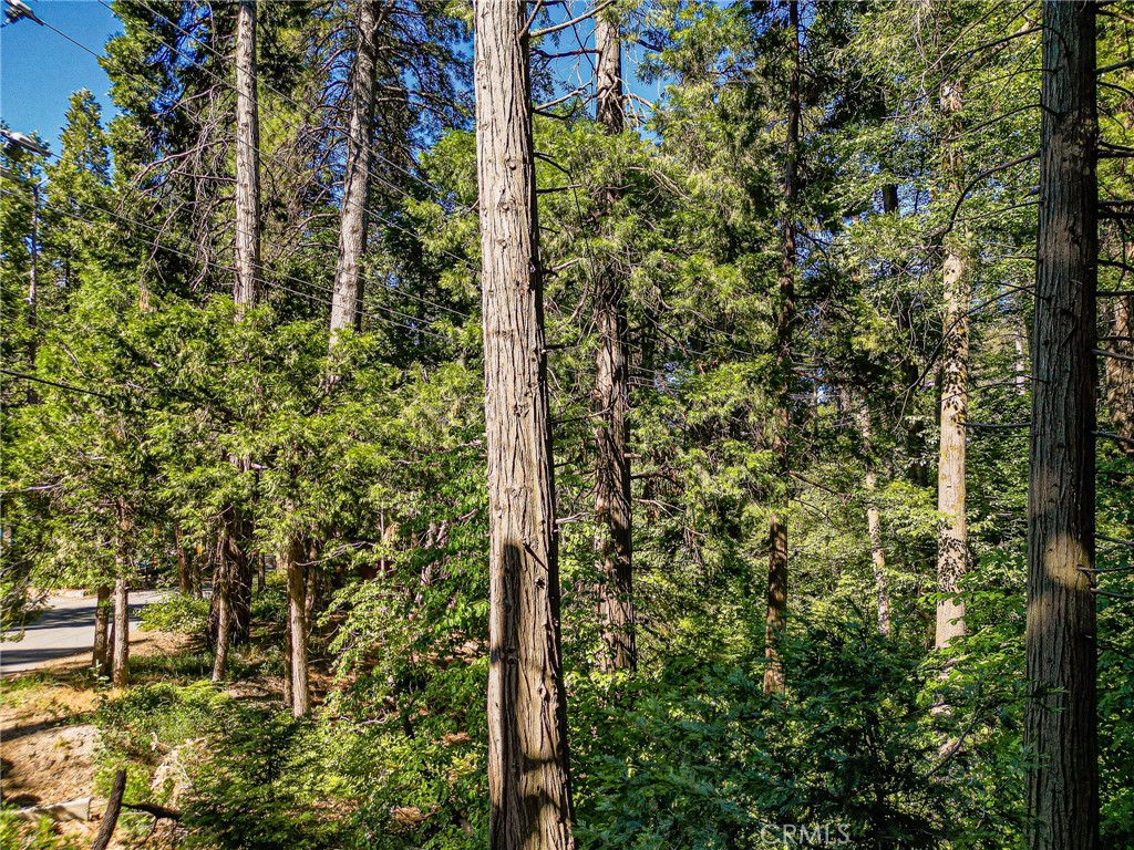 0 Cottage Grove Road Property Photo 6
