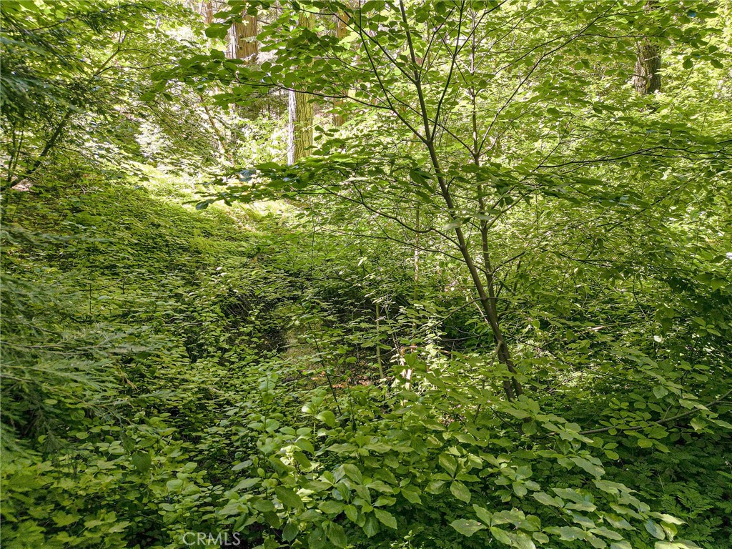 0 Cottage Grove Road Property Photo 7