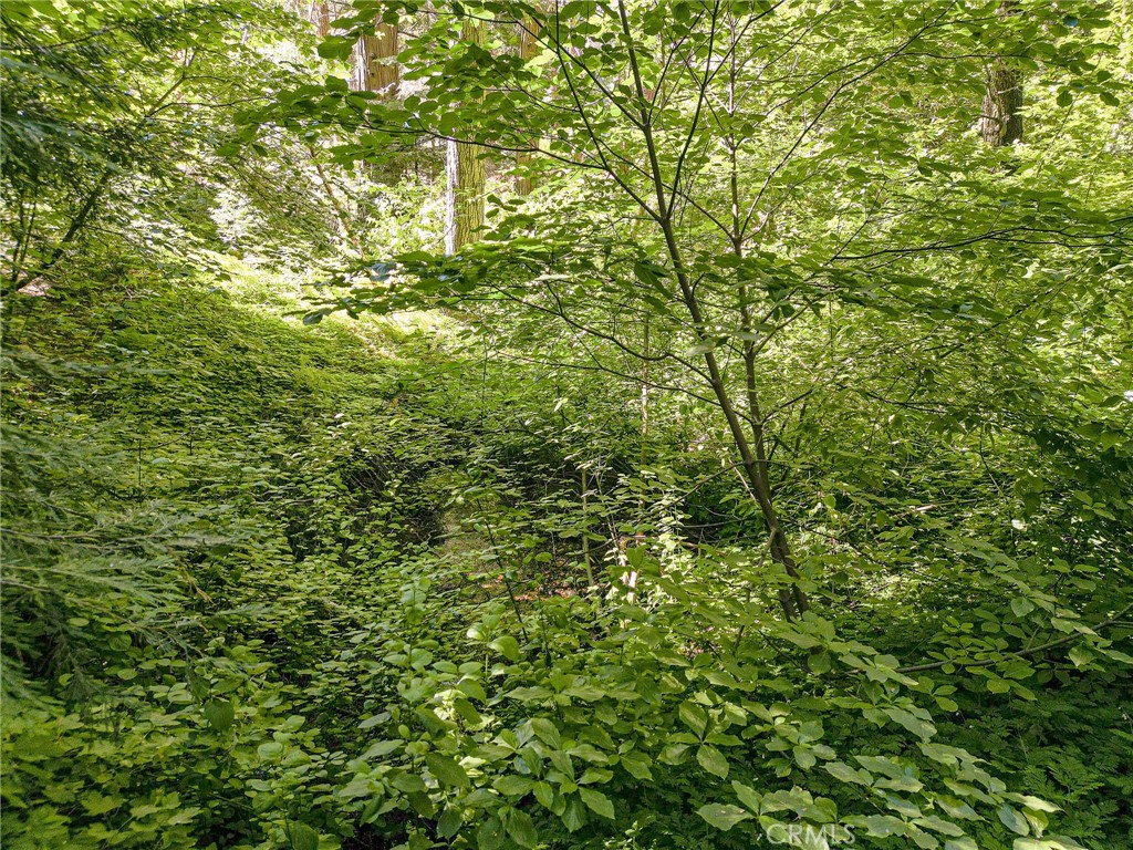0 Cottage Grove Road Property Photo 7
