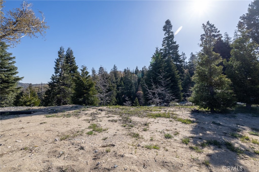 280 Ponderosa Peak Rd Property Photo 5