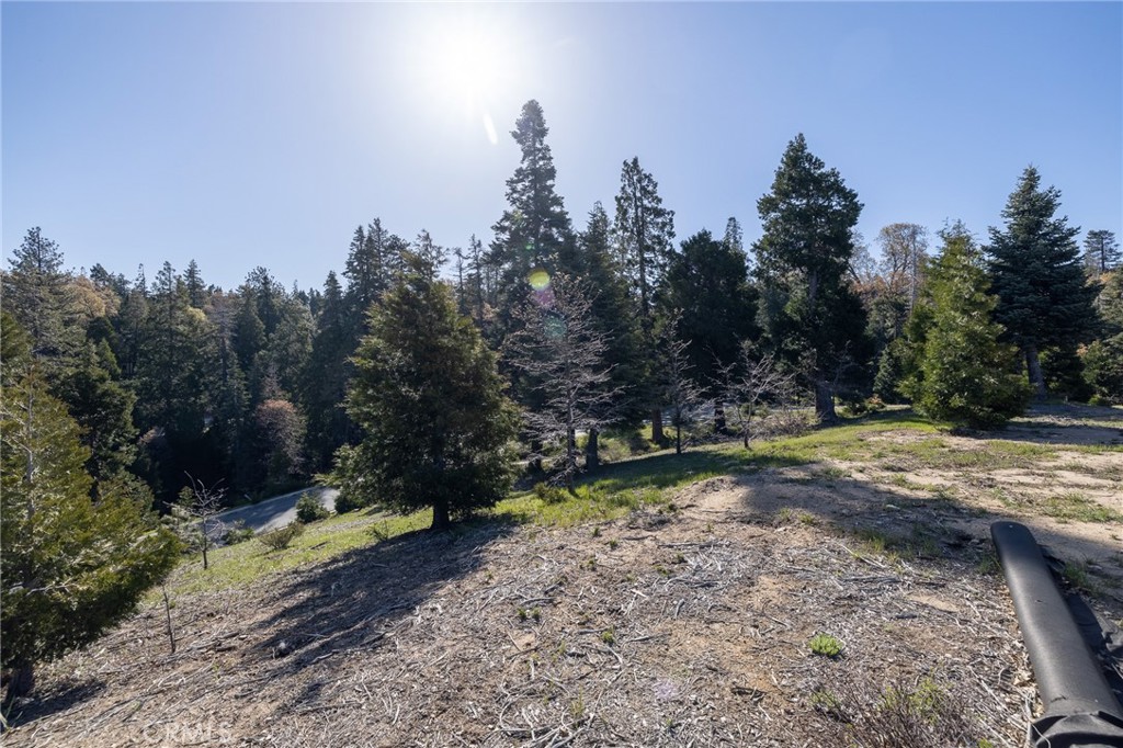 280 Ponderosa Peak Rd Property Photo 6