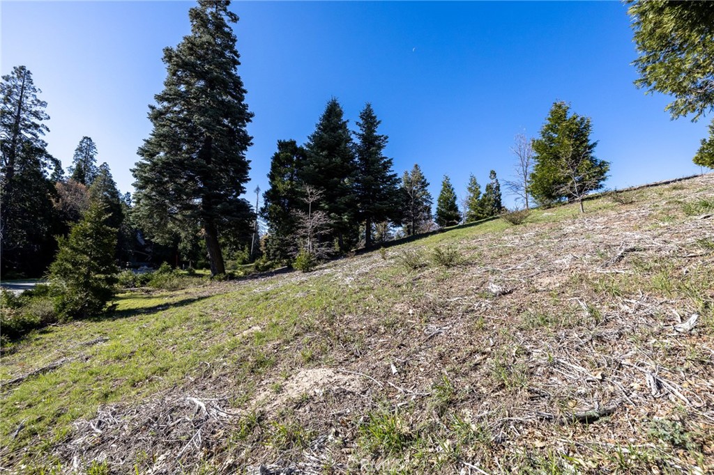 280 Ponderosa Peak Rd Property Photo 7