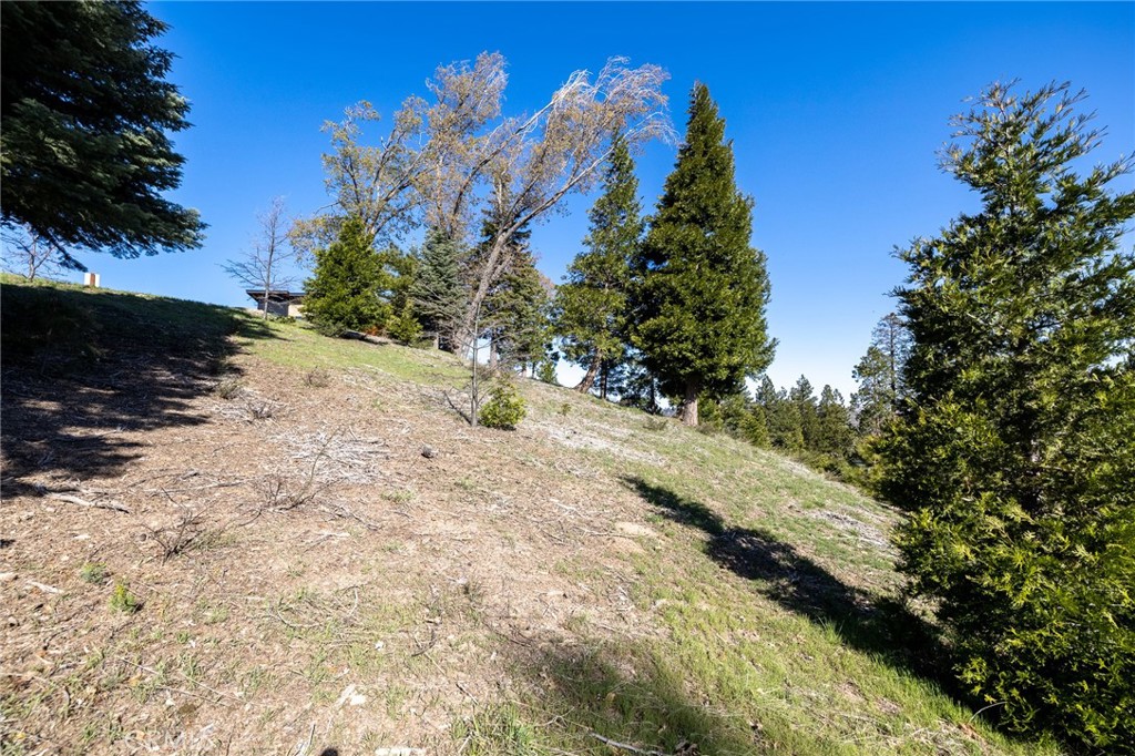 280 Ponderosa Peak Rd Property Photo 8