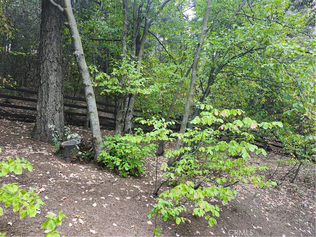 27907 Rainbow Drive Property Photo 11