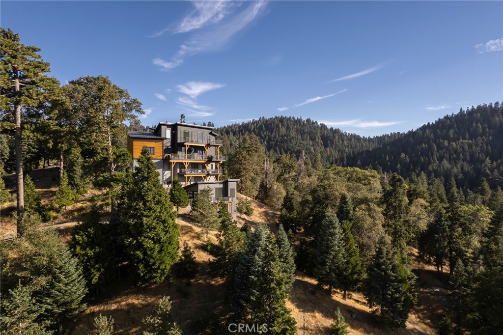 292 Ponderosa Peak Road Property Photo 39