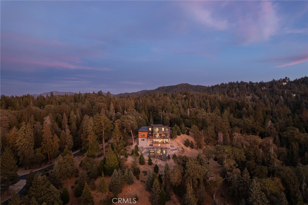 292 Ponderosa Peak Road Property Photo 43
