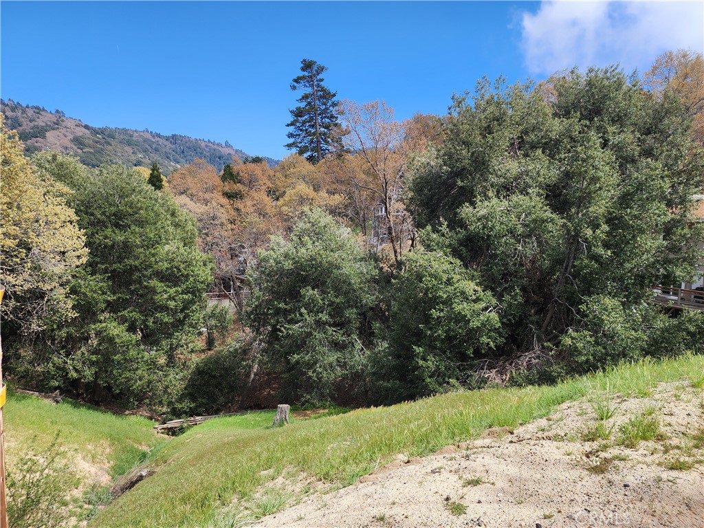 327 Davos Drive Property Photo 8