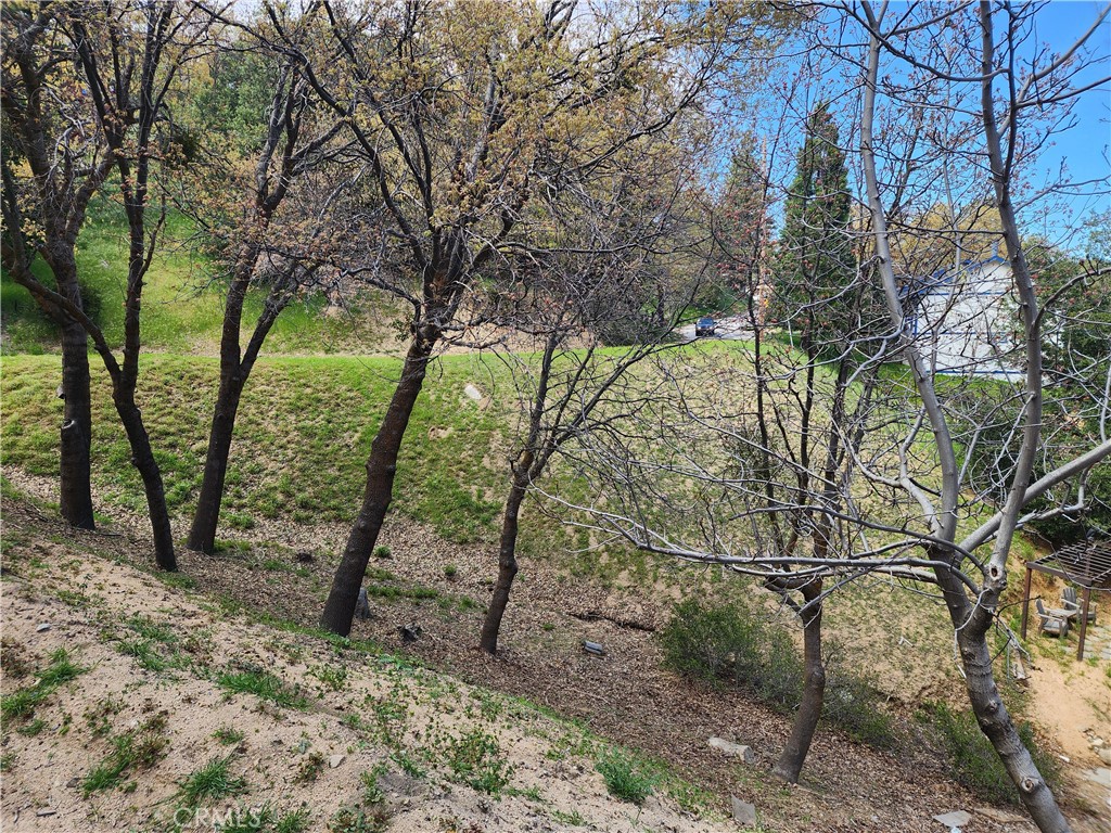 327 Davos Drive Property Photo 12