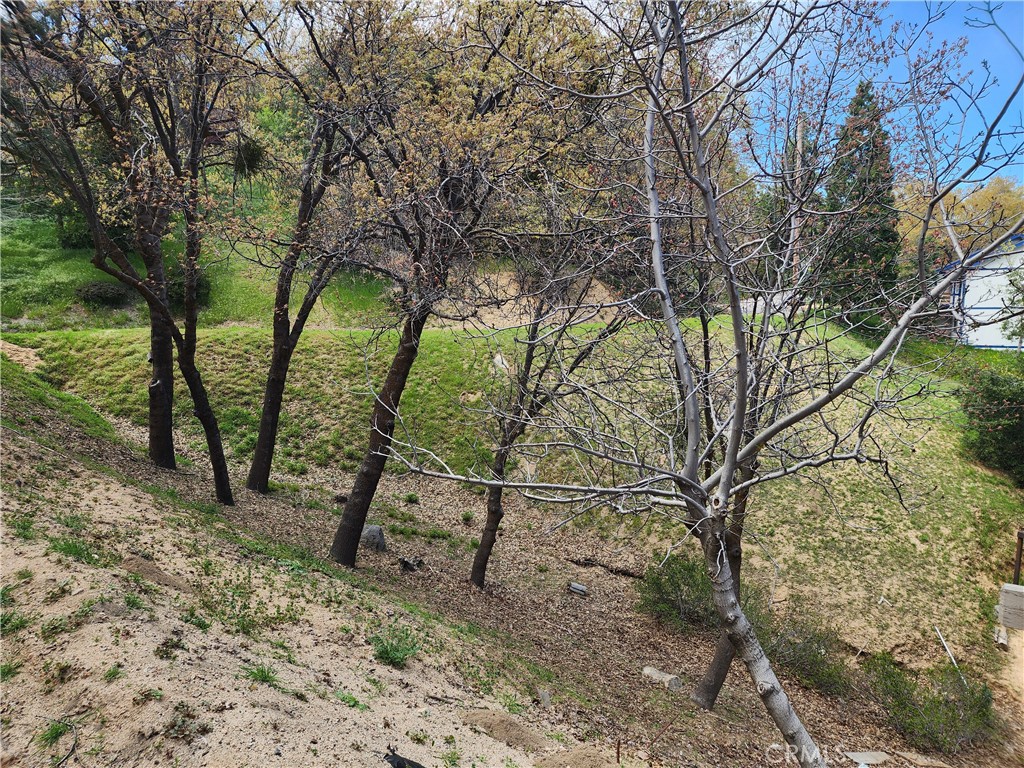 327 Davos Drive Property Photo 15