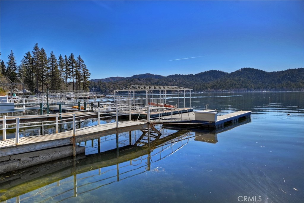 28175 North Shore Road Property Photo 69