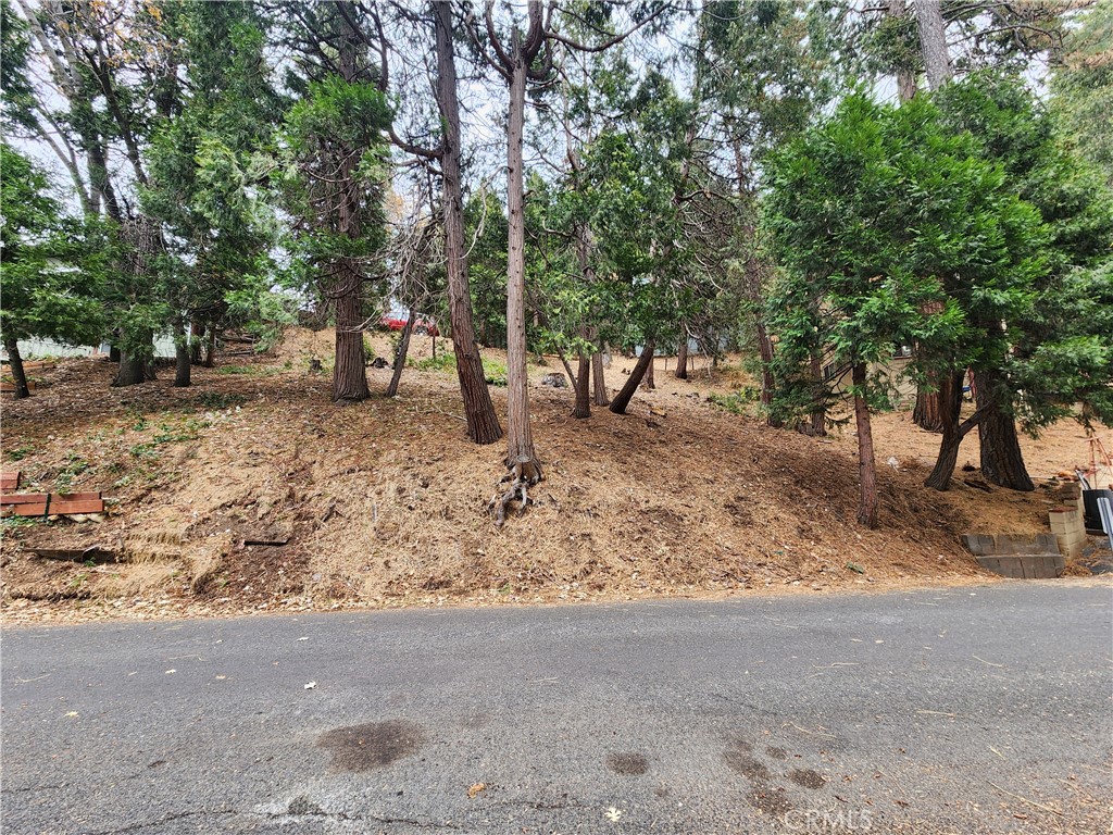 0 Horst Drive Property Photo