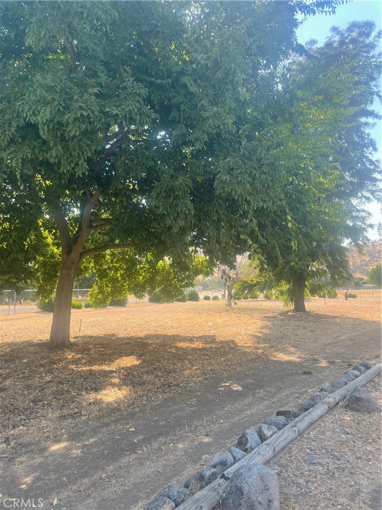 6009 Elwood Road Property Photo 18
