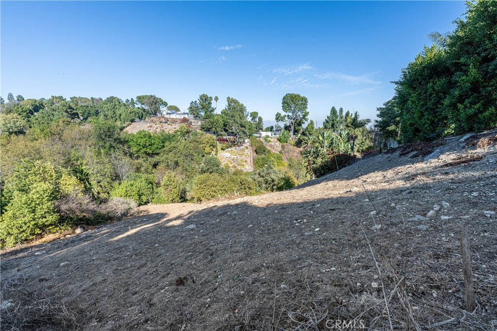 49 1/4 Rockinghorse Road Property Photo 19