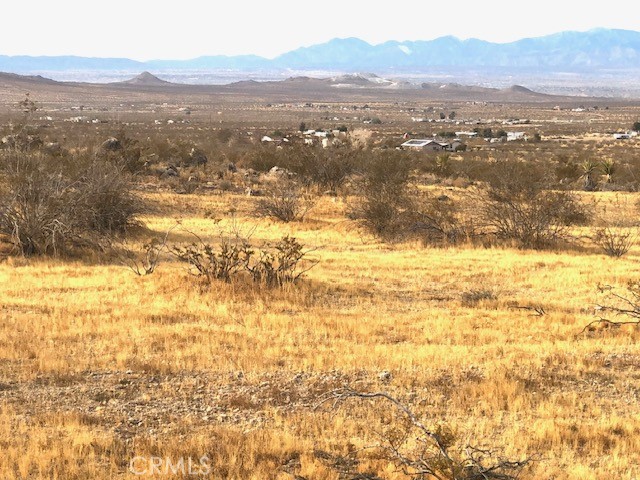 0 Sapota Road Property Photo 4