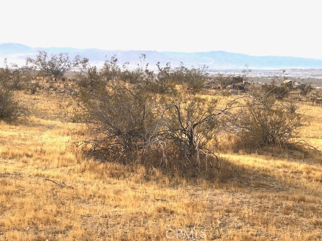 0 Sapota Road Property Photo 5