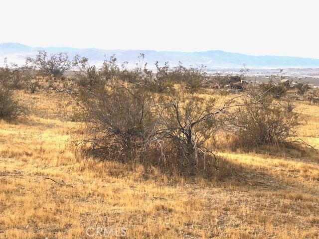 0 Sapota Road Property Photo 5
