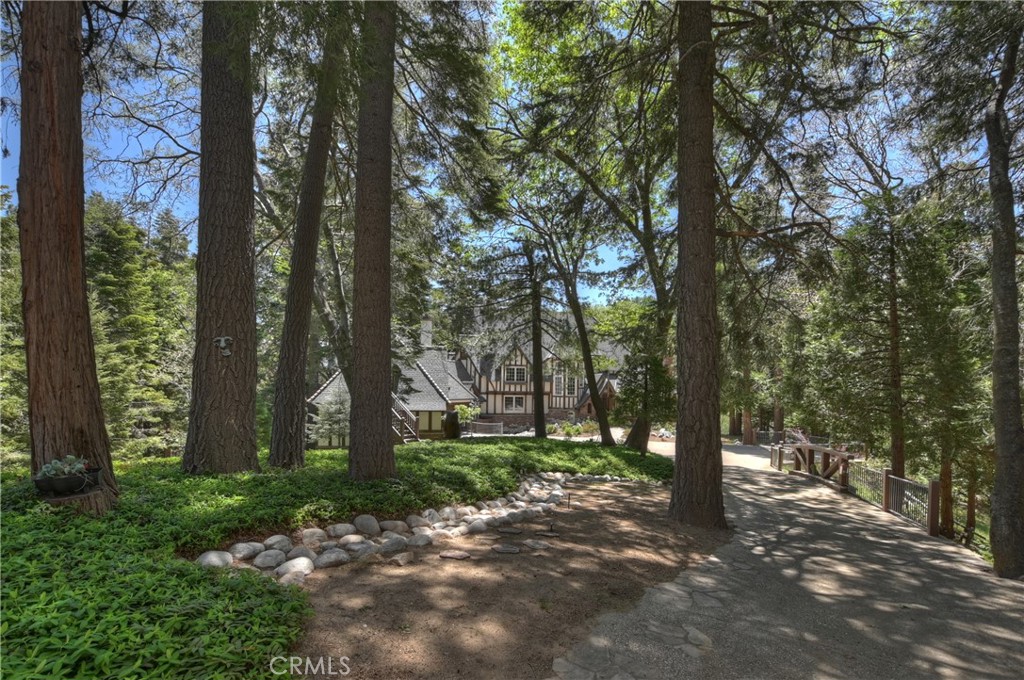 29223 Pigeon Hawk Lane Property Photo 4
