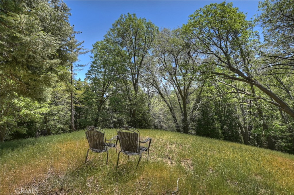 29223 Pigeon Hawk Lane Property Photo 13