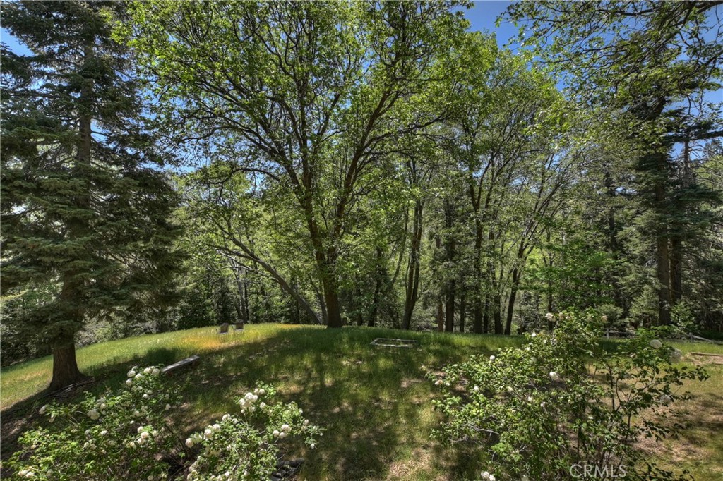 29223 Pigeon Hawk Lane Property Photo 17