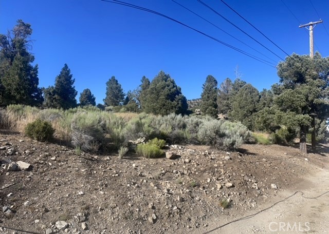 0 Pelican Property Photo