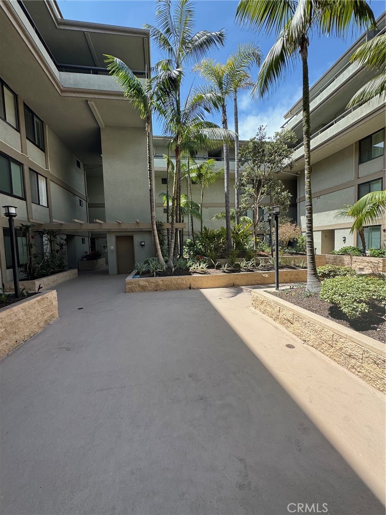 1007 S Catalina Avenue 107 Property Photo 5