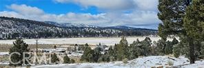 0 Ponderosa Ranch Road Property Photo 1
