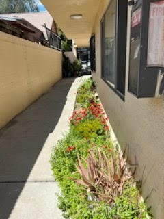 1040 Cedar Property Photo 20