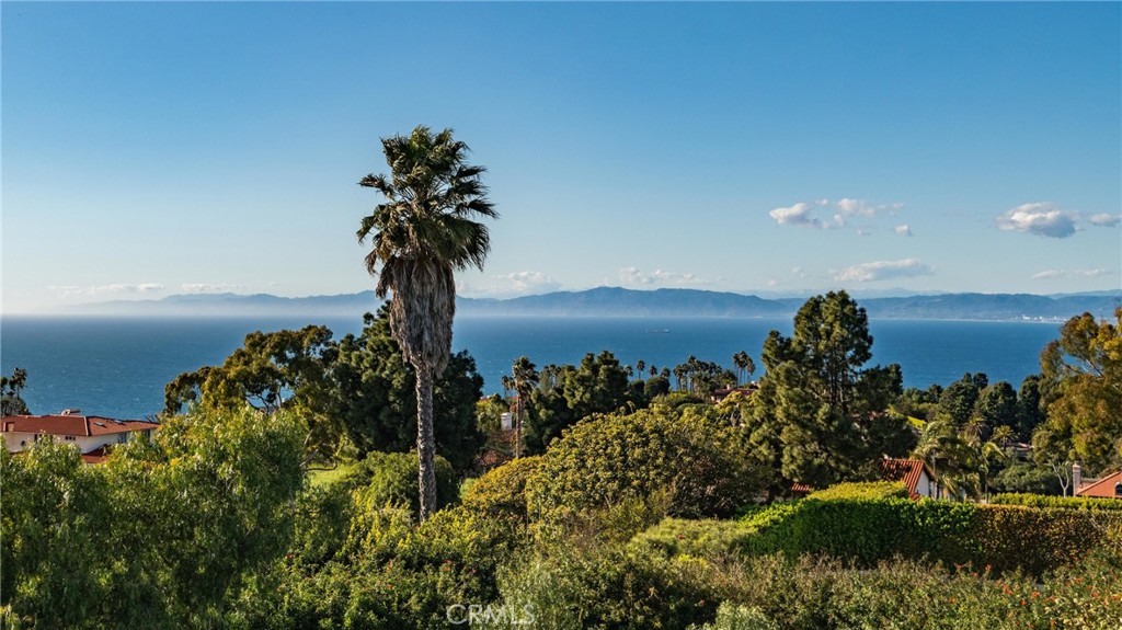 1409 Via Arco Property Photo 38
