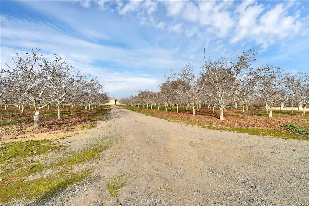 3705 Nuestro Road Property Photo 37