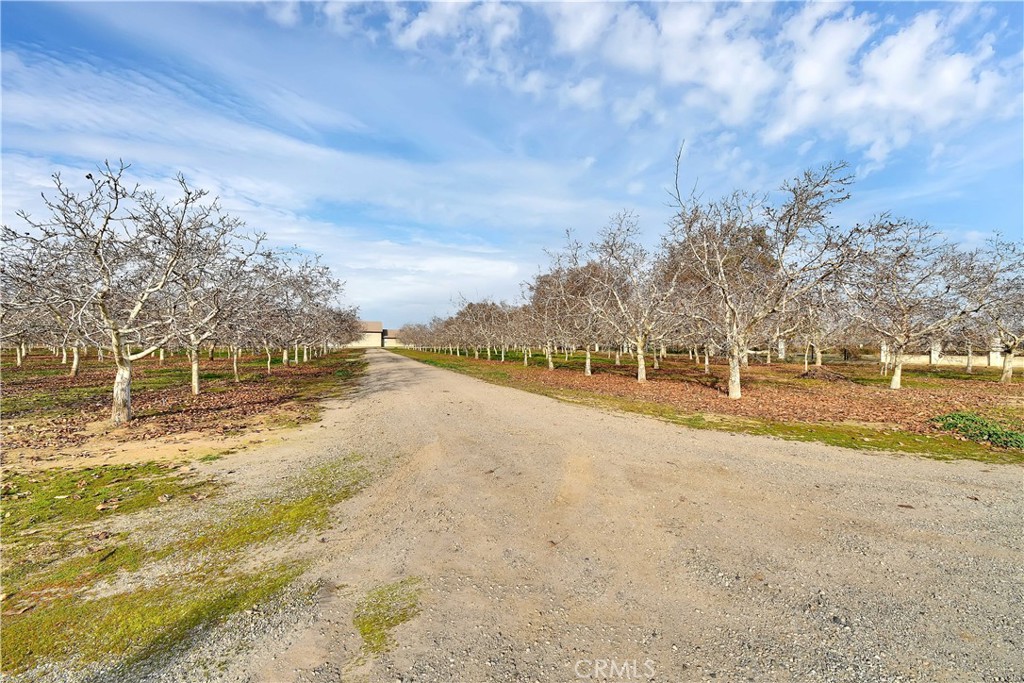 3705 Nuestro Road Property Photo 37