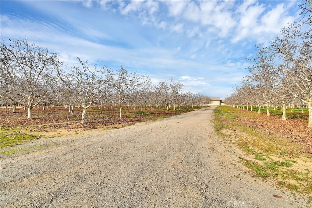 3705 Nuestro Road Property Photo 38
