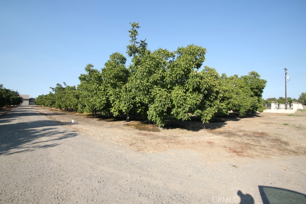 3705 Nuestro Road Property Photo 67