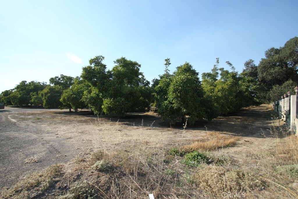 3705 Nuestro Road Property Photo 68