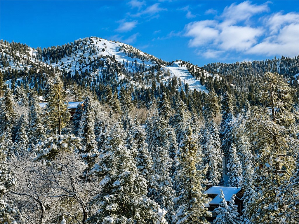 43564 Yosemite Property Photo 7