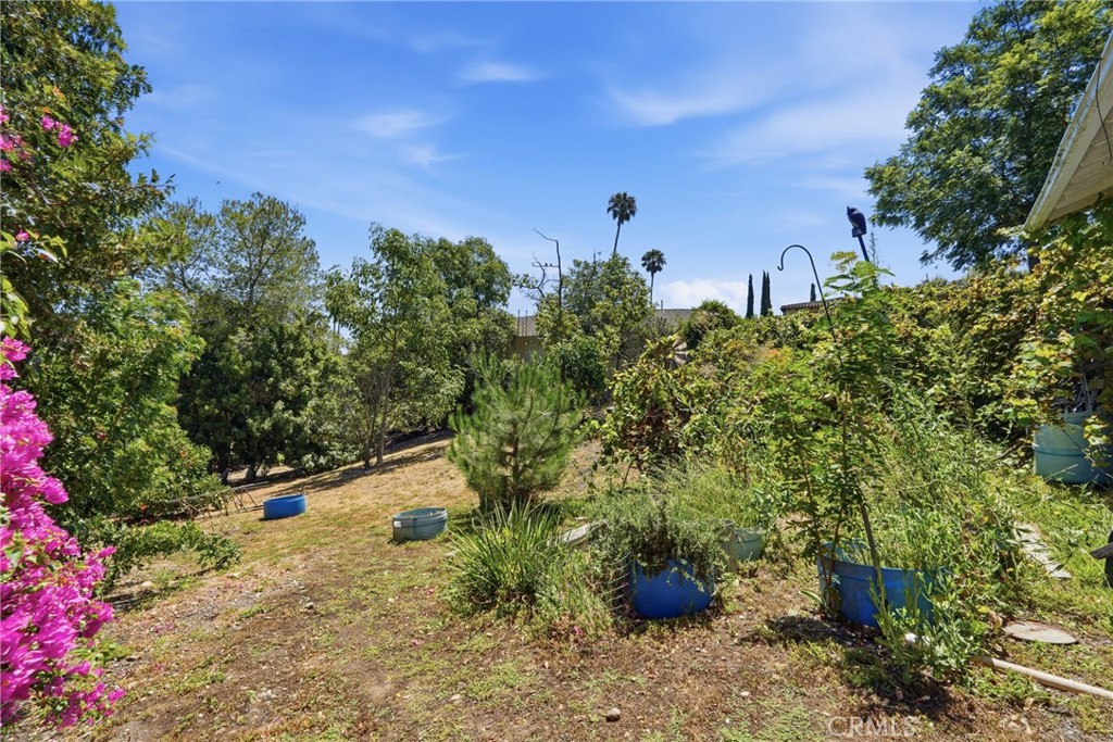 28935 Palos Verdes E Property Photo 40