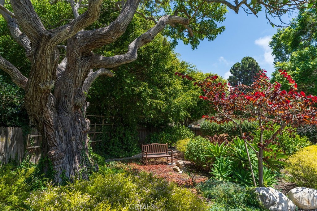 2896 Via Victoria Property Photo 35