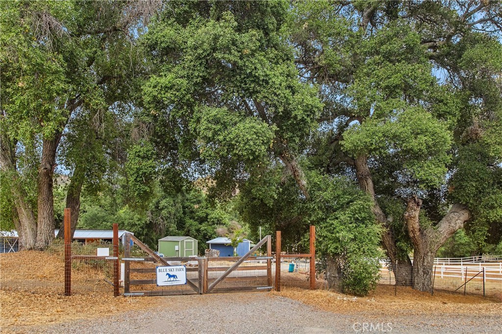 34825 Highway 79 Property Photo 4