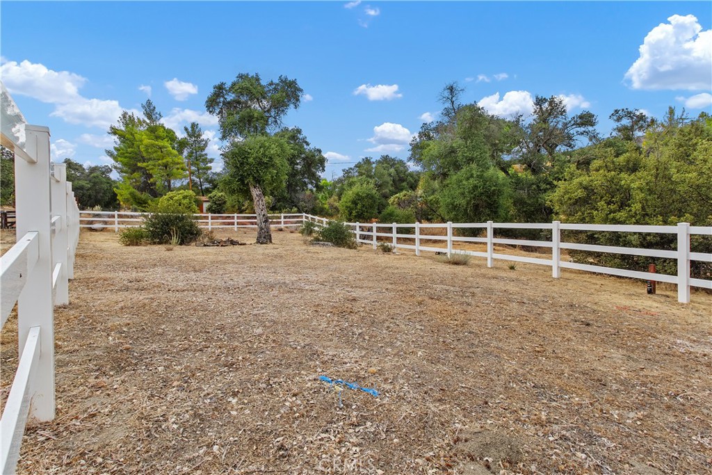 34825 Highway 79 Property Photo 8