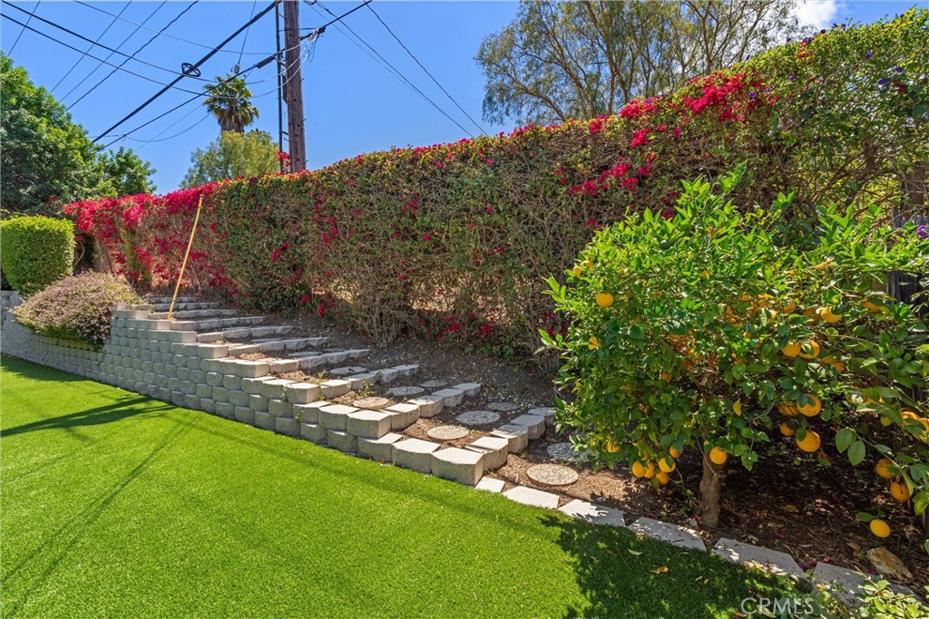 29411 N Enrose Property Photo 46