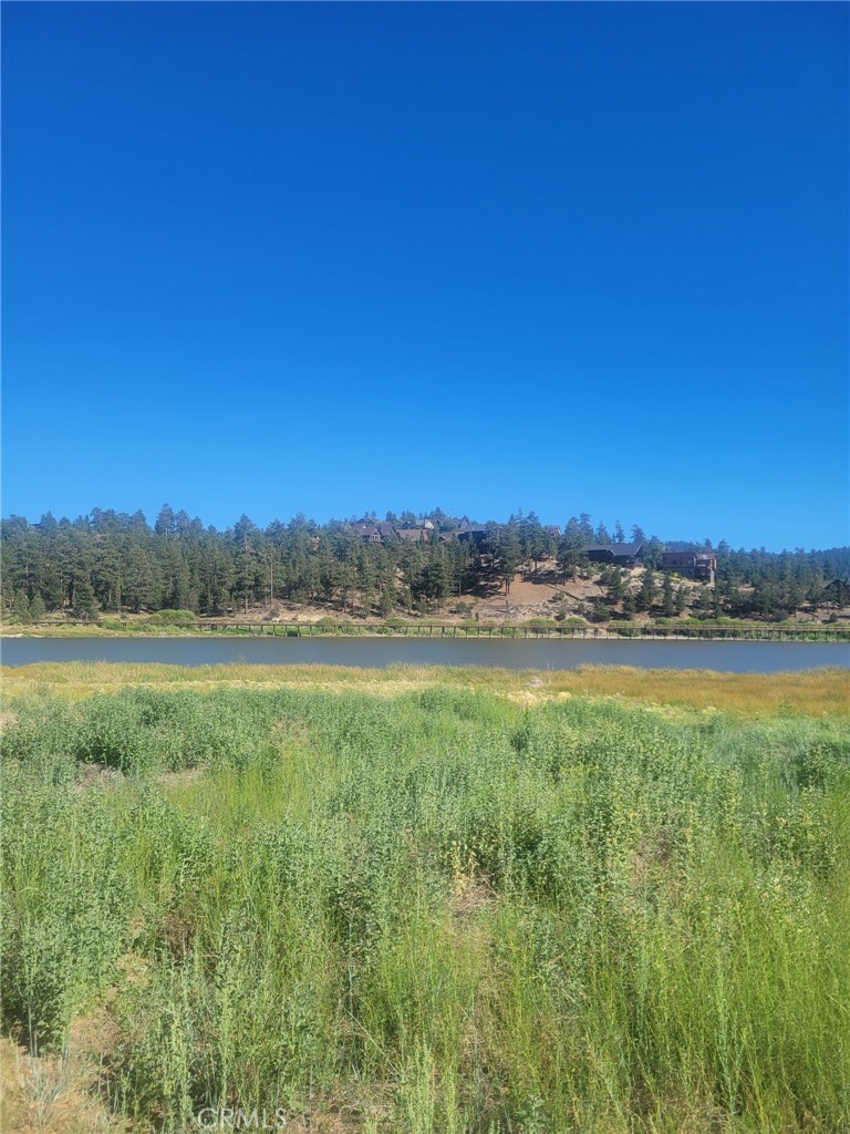 1 38 North Shore Property Photo 8