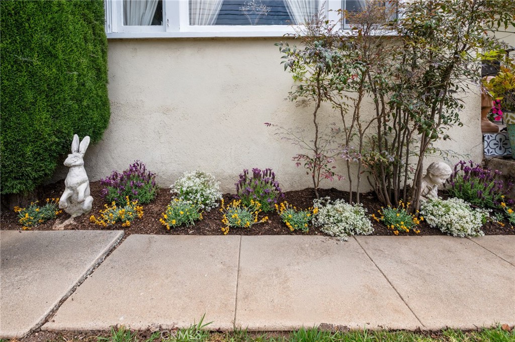 1620 California Property Photo 45